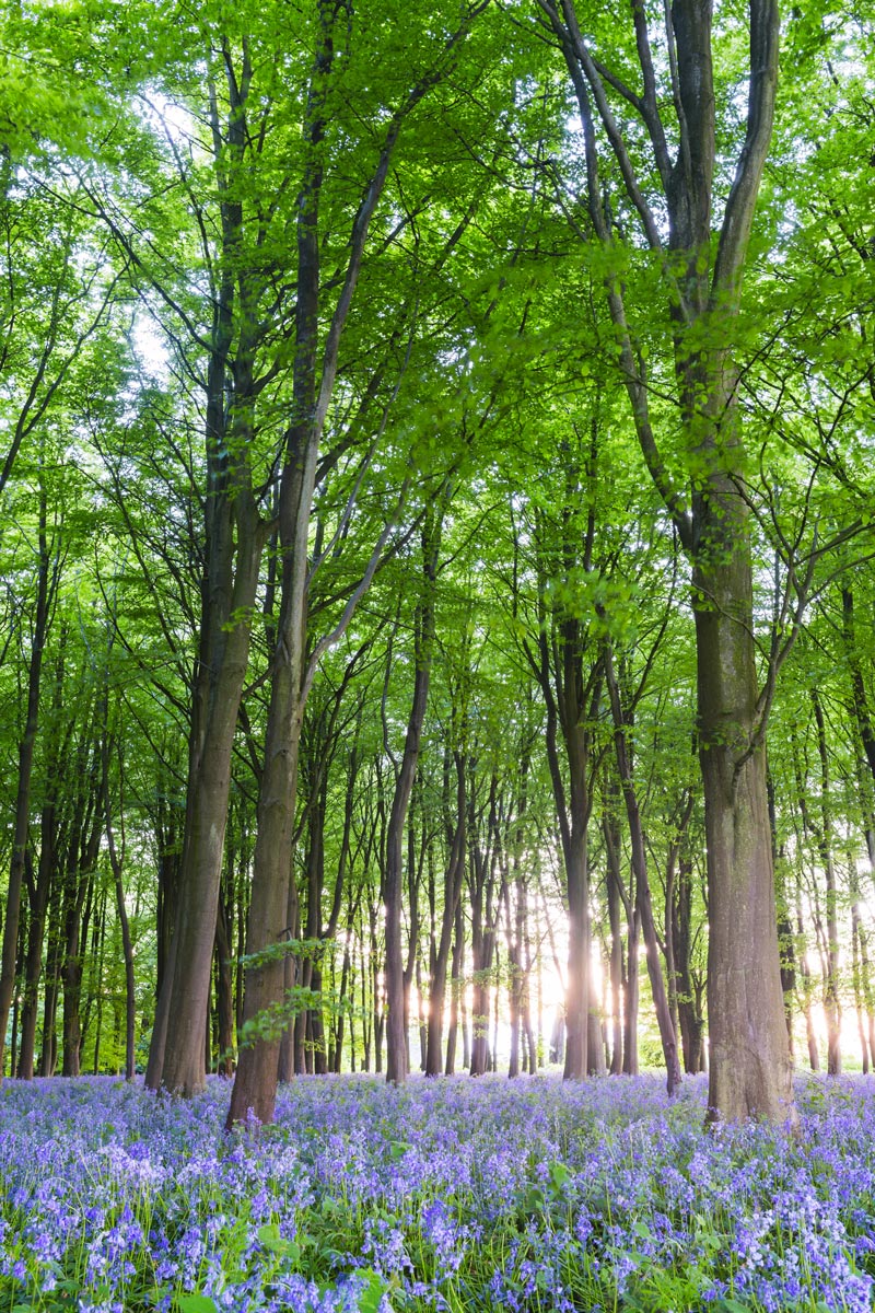 diathermic-oil-solution-21